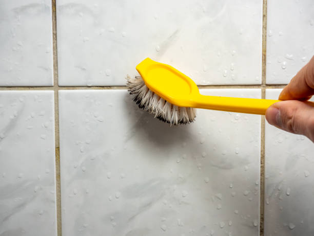 Best Bathroom Mold Remediation in White Castle, LA