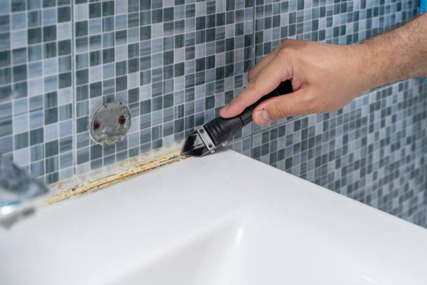 Best Industrial Mold Remediation in White Castle, LA